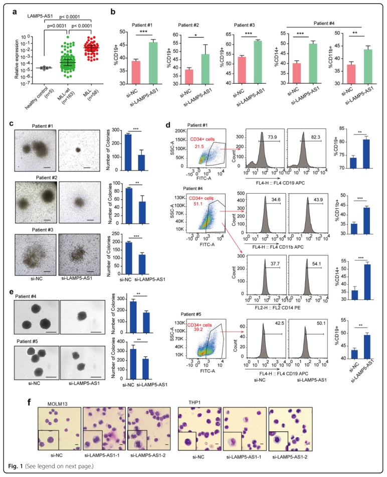 RNA pull down MS結(jié)合蛋白鑒定-客戶文獻-輝駿生物.png