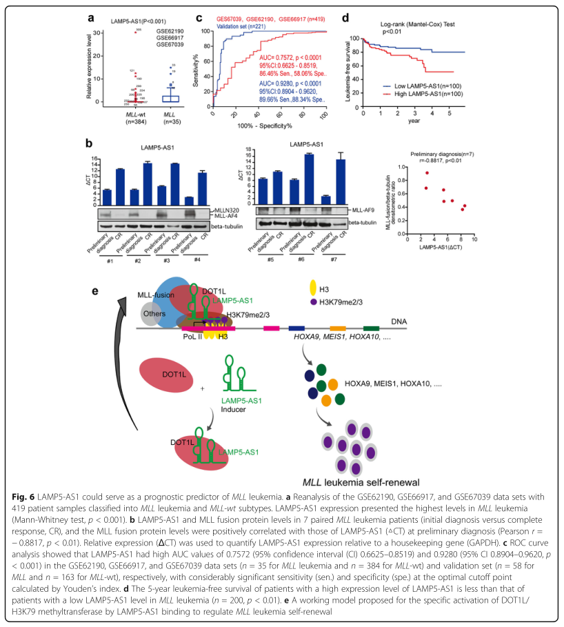 RNA pull down MS結(jié)合蛋白鑒定-客戶文獻-輝駿生物.png