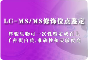 LC-MS/MS修飾位點鑒定