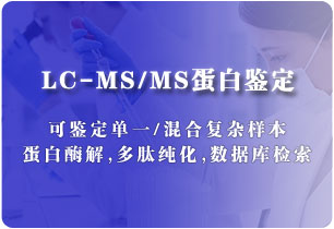 LC-MS/MS蛋白鑒定