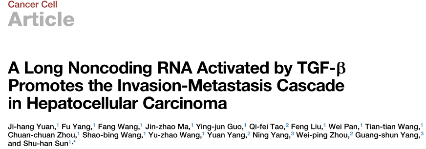 lncRNA-miRNA互作文獻(xiàn)圖.png