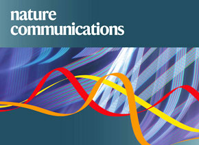 「輝駿客戶文章」Nature Communications| 中科院團隊新成果揭示乙肝病毒與肝癌關(guān)系的新機制