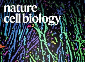 「輝駿客戶文章」Nature Cell Biology| 質(zhì)譜檢測技術(shù)助力體細胞重編程研究