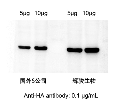 HA對(duì)比圖.jpg