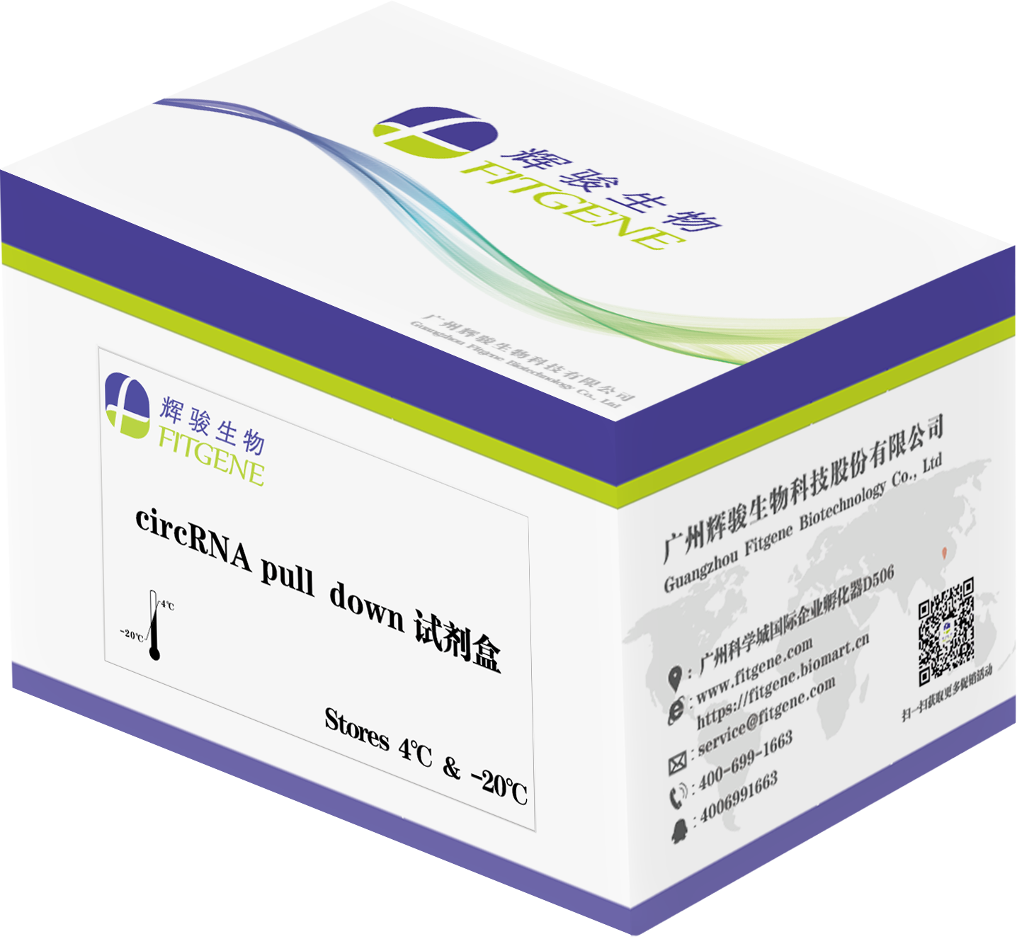 輝駿生物circrna pulldown試劑盒-調(diào)取效率高-適用范圍廣-操作簡便.png