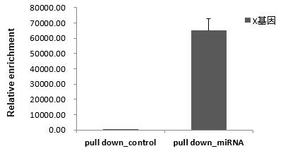 輝駿生物miRNA pull down qPCR檢測(cè)結(jié)果（陽性）