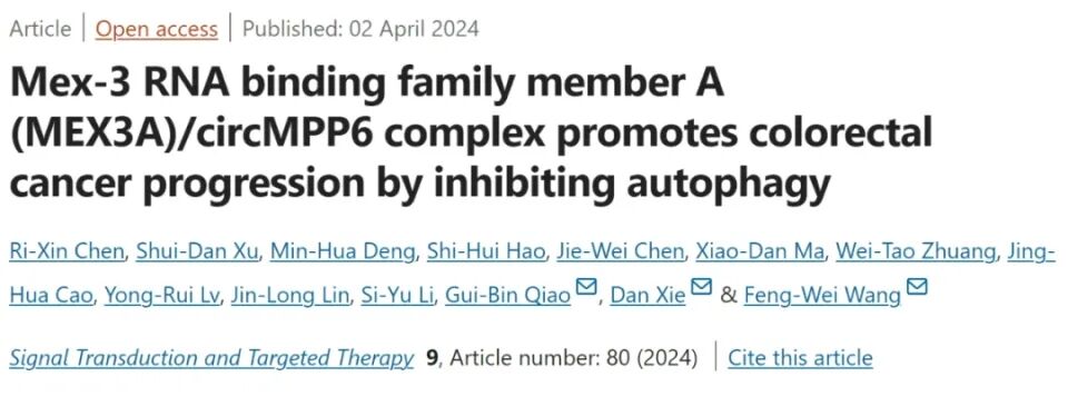 IP MS結(jié)合蛋白鑒定實(shí)驗(yàn)-IF=40.8客戶高分文獻(xiàn)-輝駿生物蛋白質(zhì)譜鑒定實(shí)驗(yàn)外包