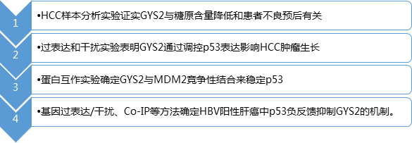 GST pulldown研究路線(xiàn).png