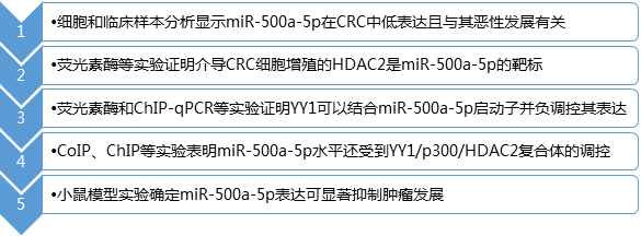 研究路線.jpg